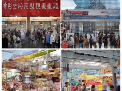 223年重庆商贸展会时间表